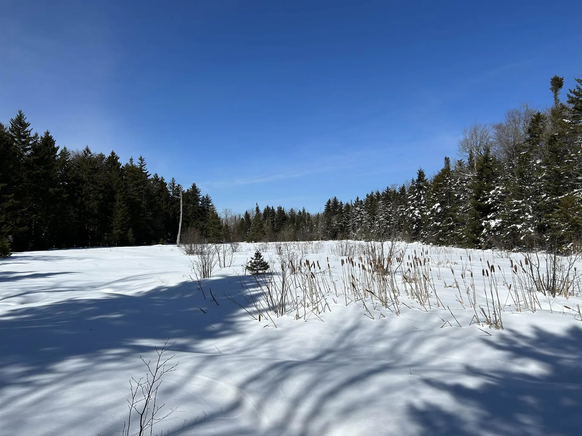 1625 Vt Route 9 Searsburg VT 05363