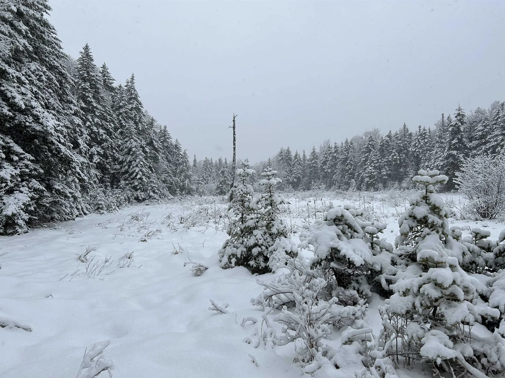 1625 Vt Route 9 Searsburg VT 05363