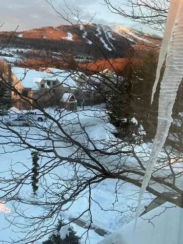 43 High Point Drive Stratton VT 05155