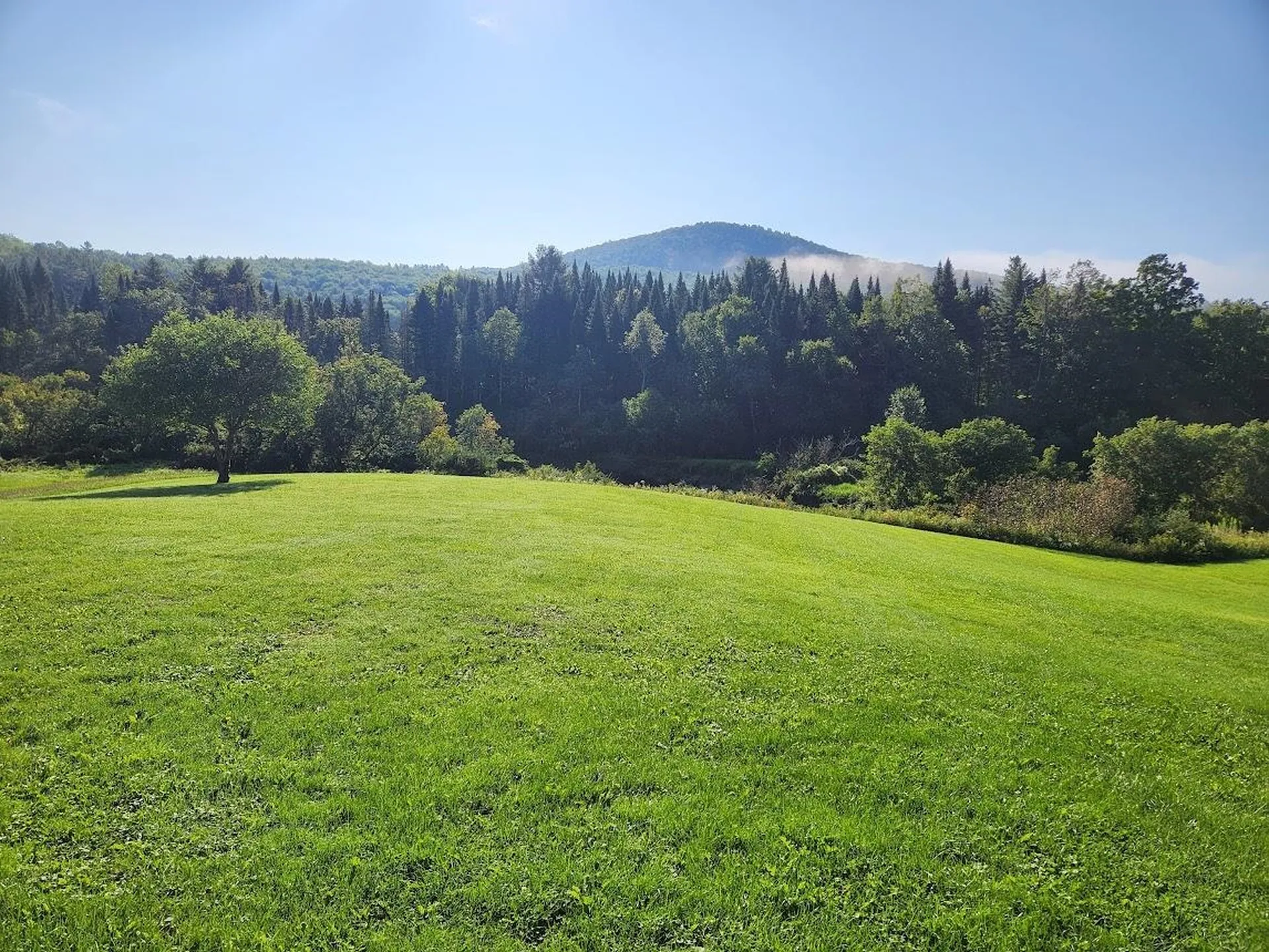 4117 U.s. Route 2 Marshfield VT 05658