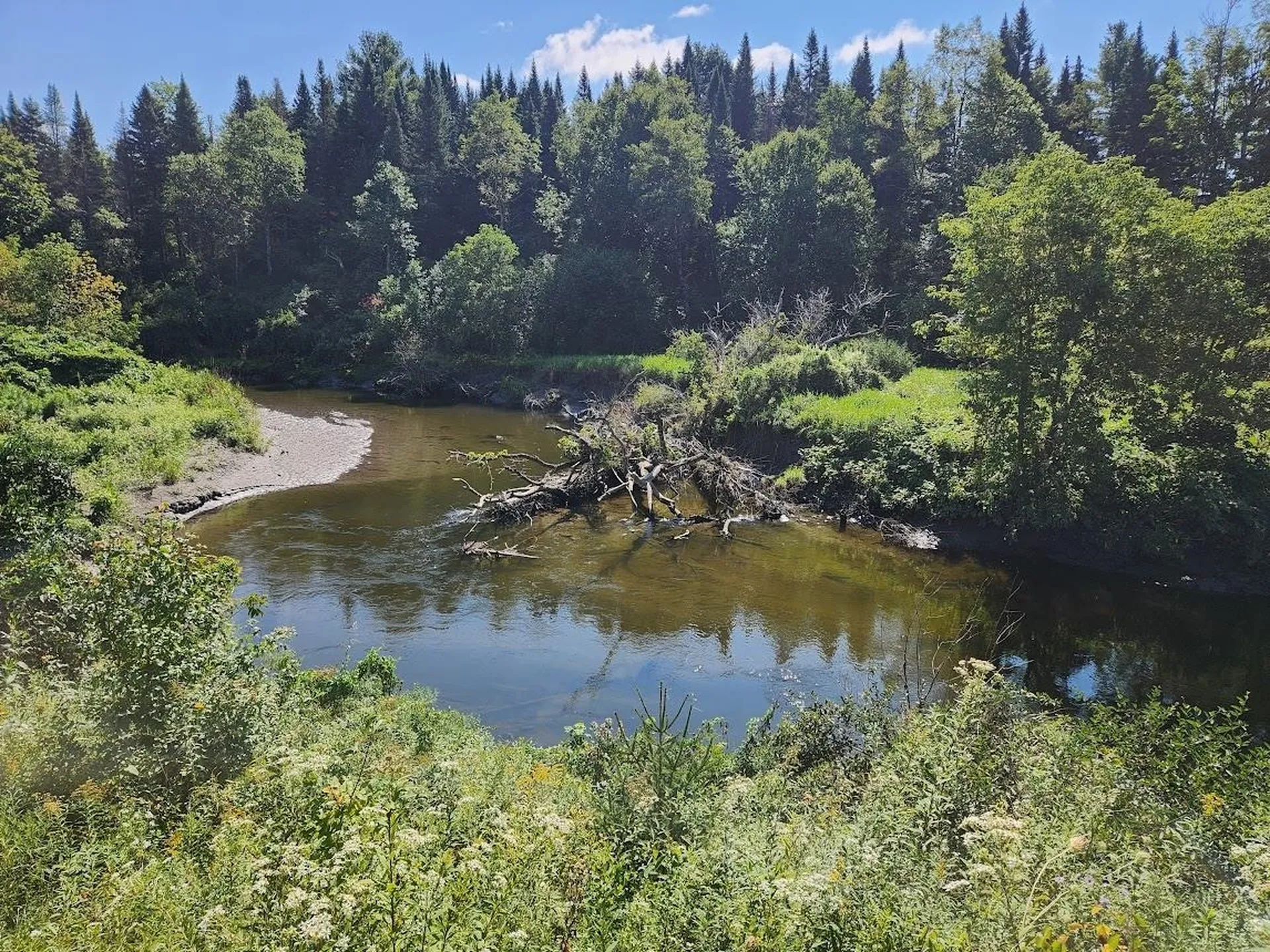 4117 U.s. Route 2 Marshfield VT 05658