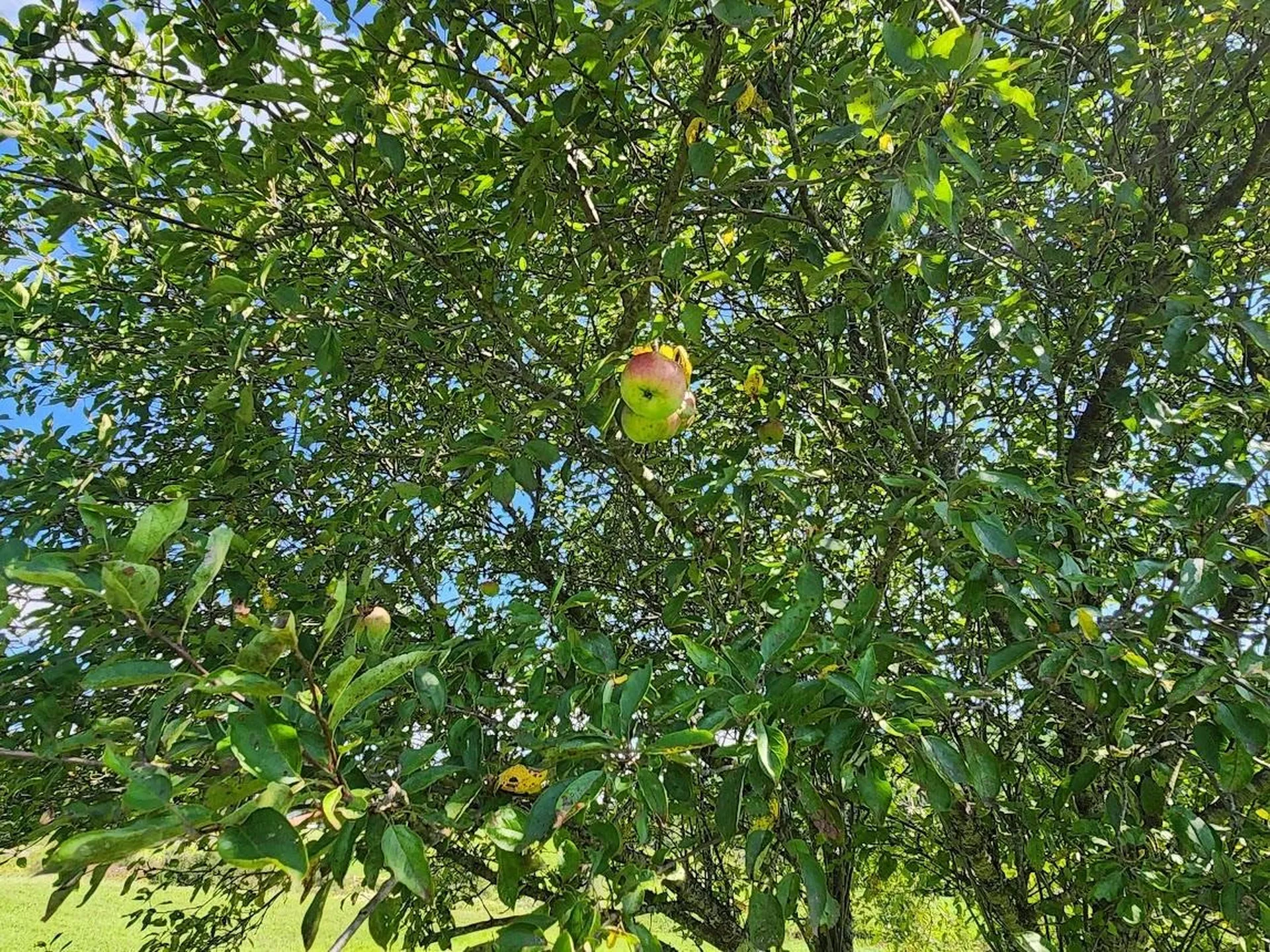 4117 U.s. Route 2 Marshfield VT 05658