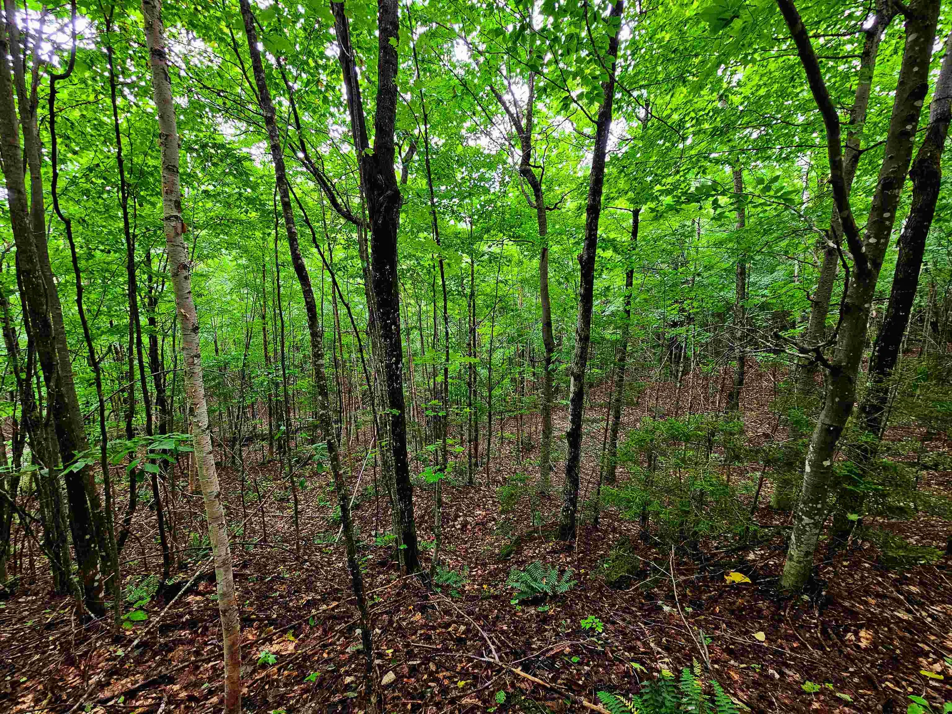 1340 Beaver Brook Road Corinth VT 05039