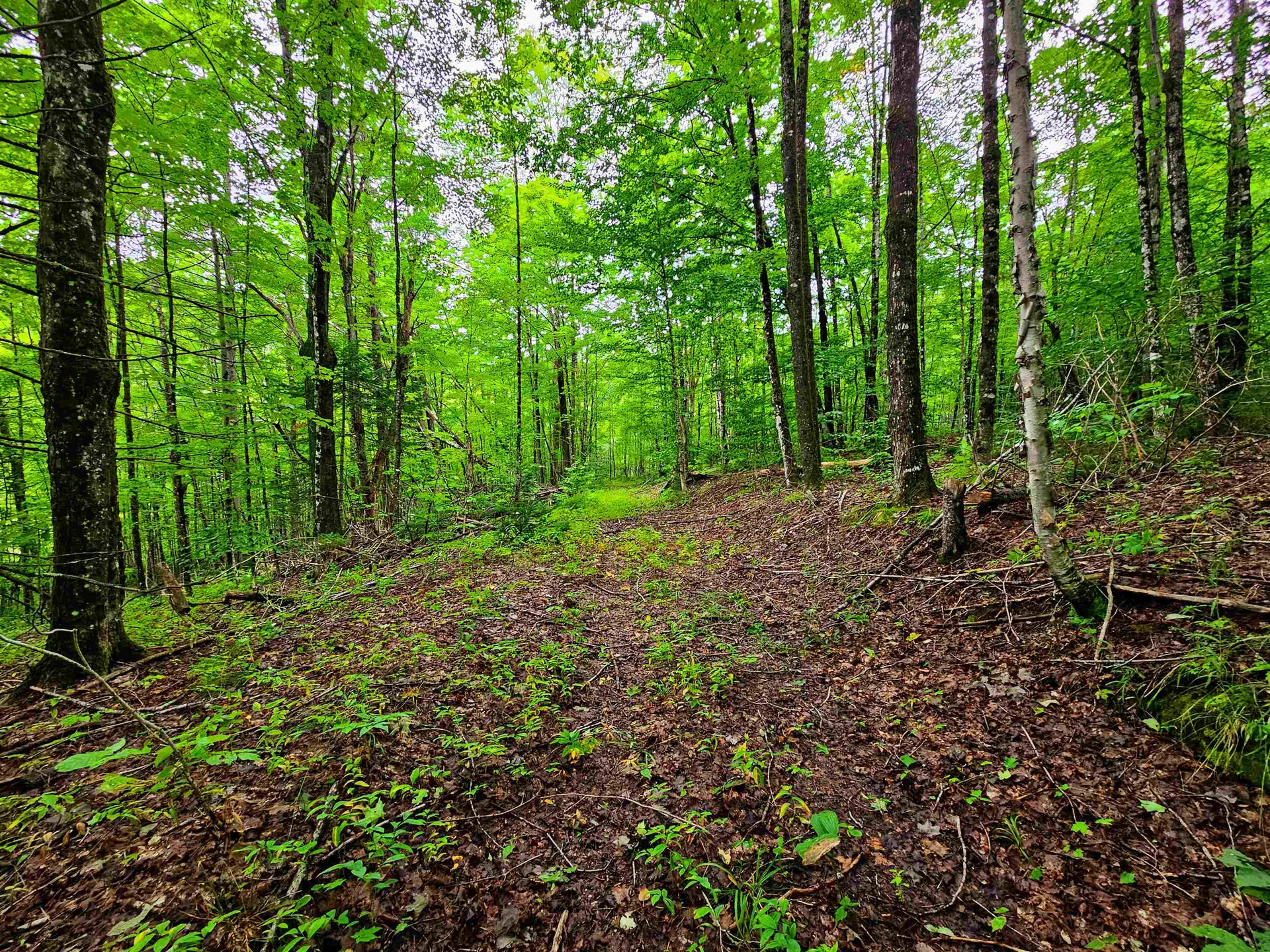 1340 Beaver Brook Road Corinth VT 05039