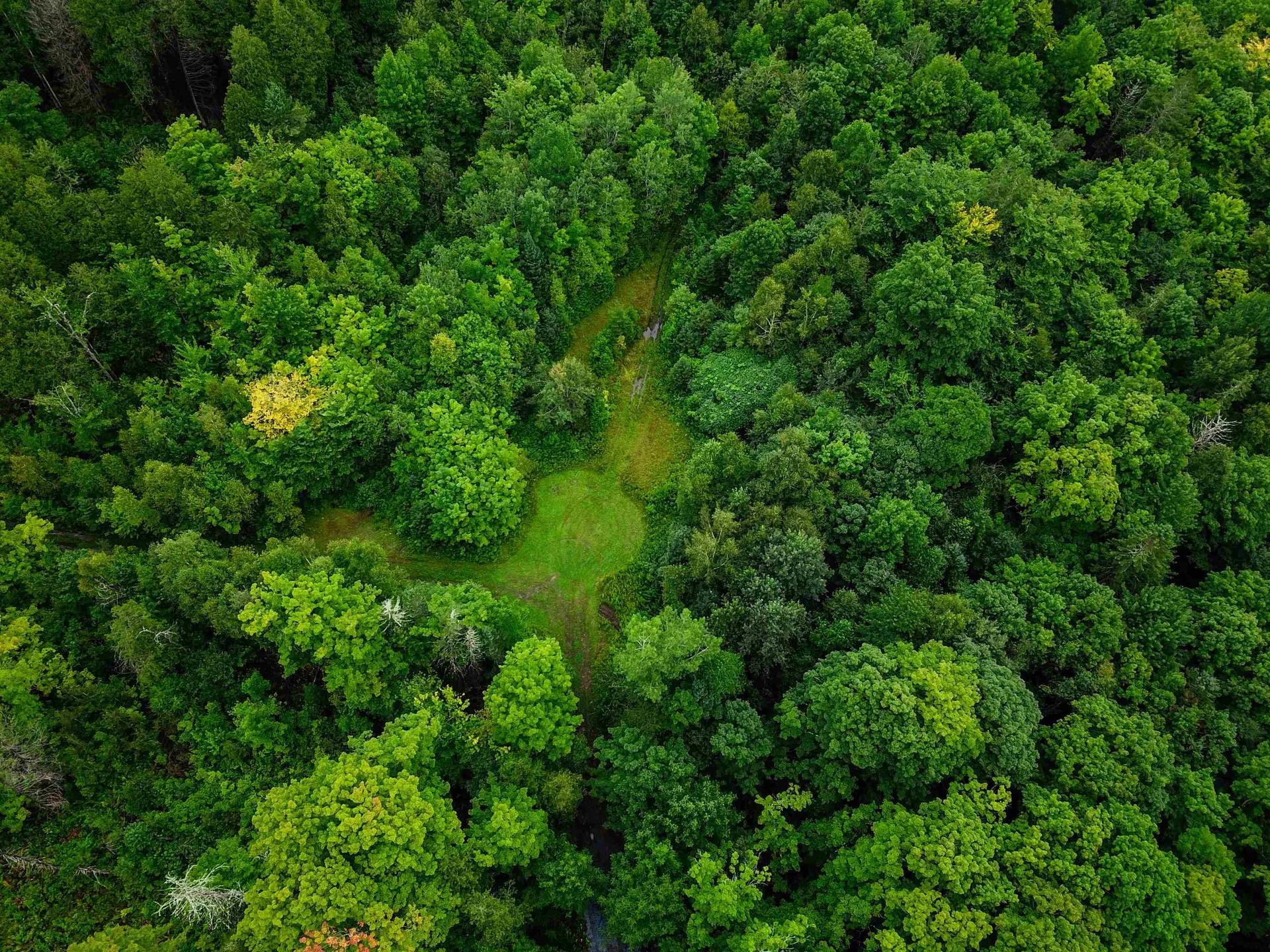 1340 Beaver Brook Road Corinth VT 05039