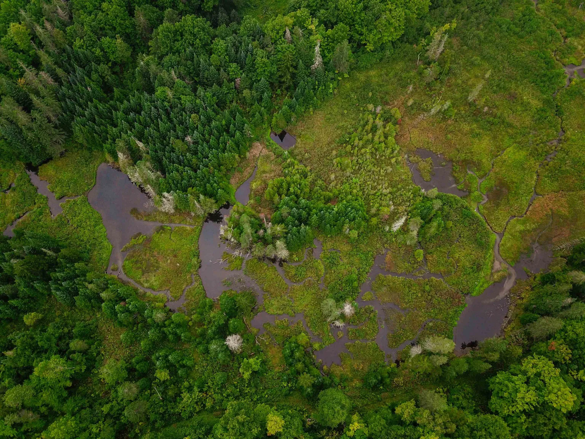 1340 Beaver Brook Road Corinth VT 05039