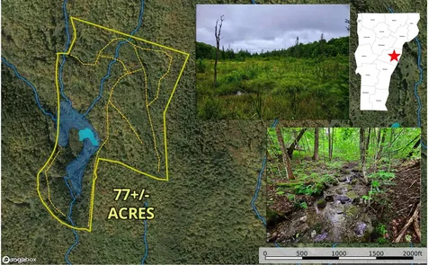 1340 Beaver Brook Road Corinth VT 05039