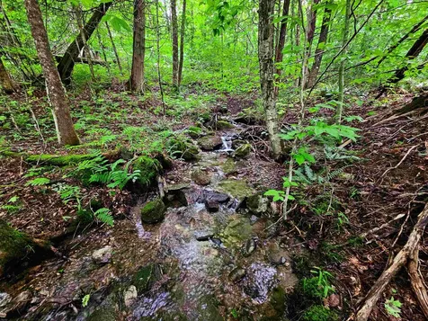 1340 Beaver Brook Road Corinth VT 05039