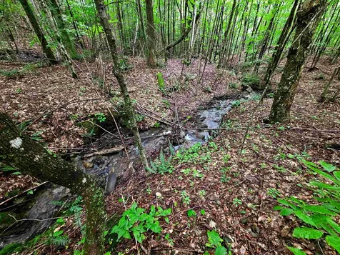1340 Beaver Brook Road Corinth VT 05039