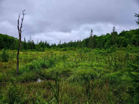 1340 Beaver Brook Road Corinth VT 05039