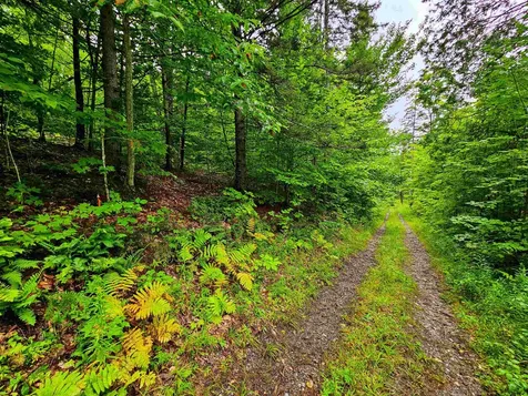 1340 Beaver Brook Road Corinth VT 05039