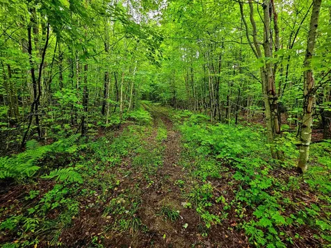 1340 Beaver Brook Road Corinth VT 05039