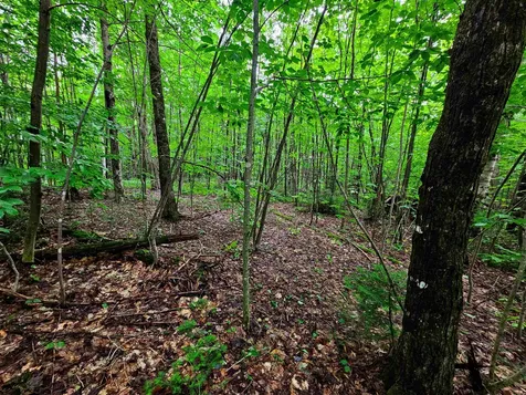 1340 Beaver Brook Road Corinth VT 05039