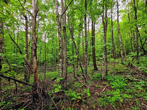 1340 Beaver Brook Road Corinth VT 05039