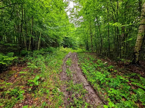 1340 Beaver Brook Road Corinth VT 05039