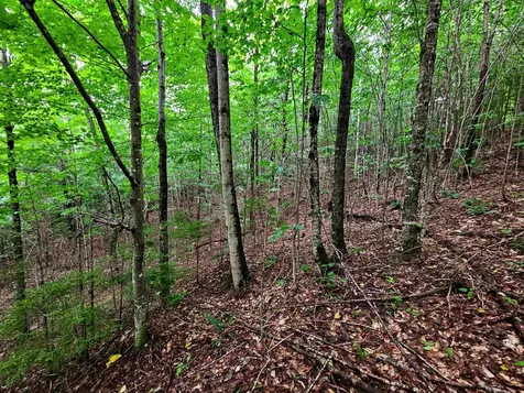 1340 Beaver Brook Road Corinth VT 05039