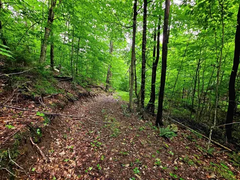 1340 Beaver Brook Road Corinth VT 05039