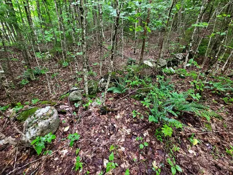 1340 Beaver Brook Road Corinth VT 05039
