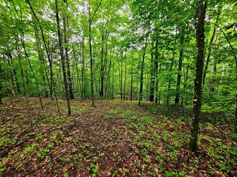 1340 Beaver Brook Road Corinth VT 05039