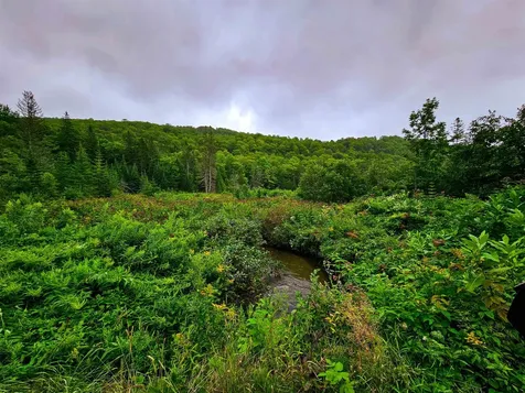 1340 Beaver Brook Road Corinth VT 05039