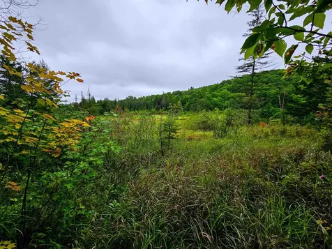 1340 Beaver Brook Road Corinth VT 05039