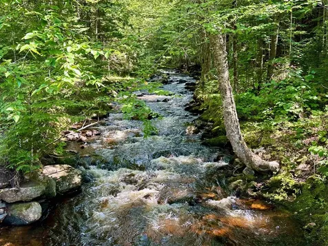 928 Bog Road Stratford NH 03590