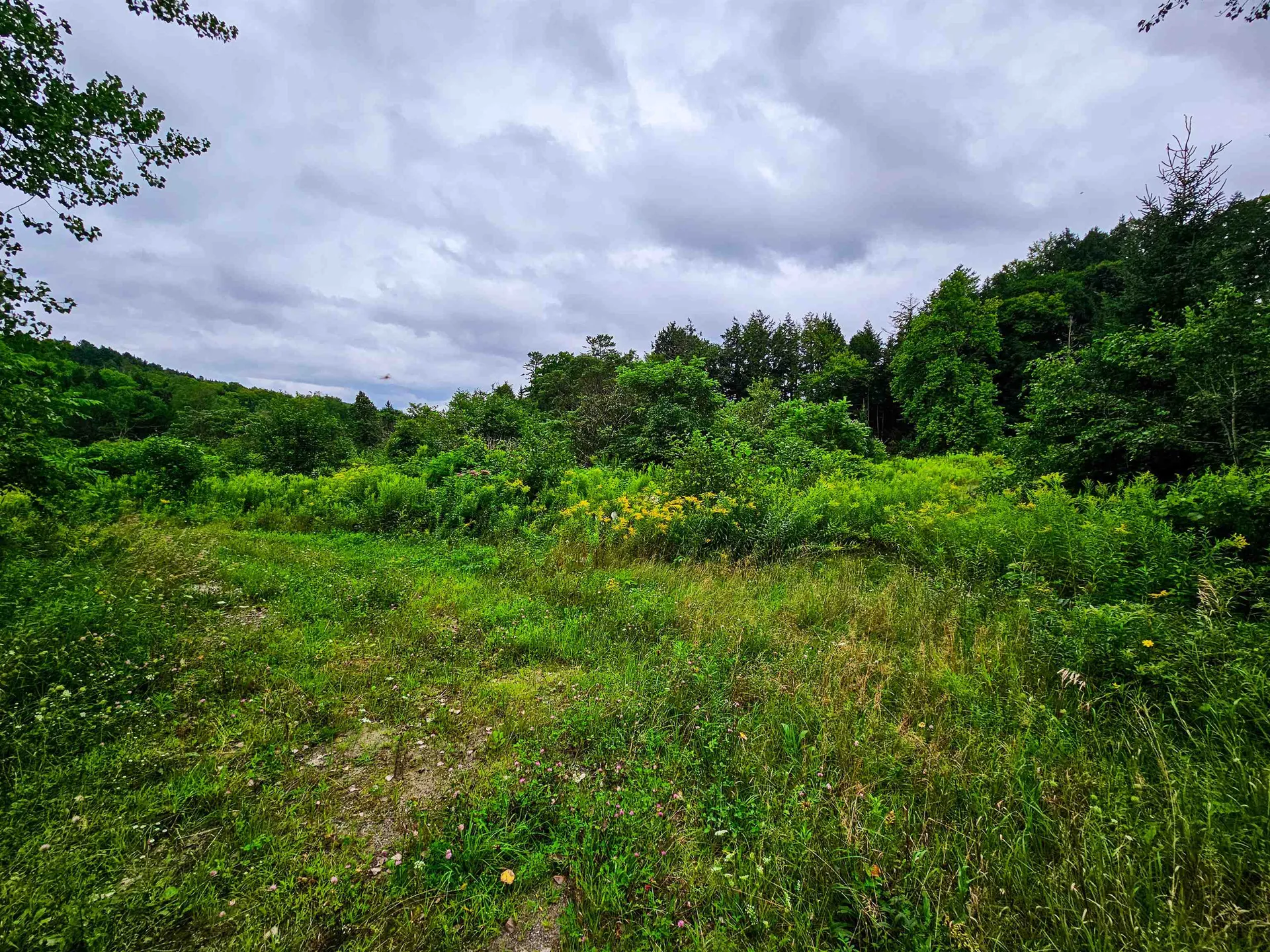 1761 Vt Route 214 East Montpelier VT 05667