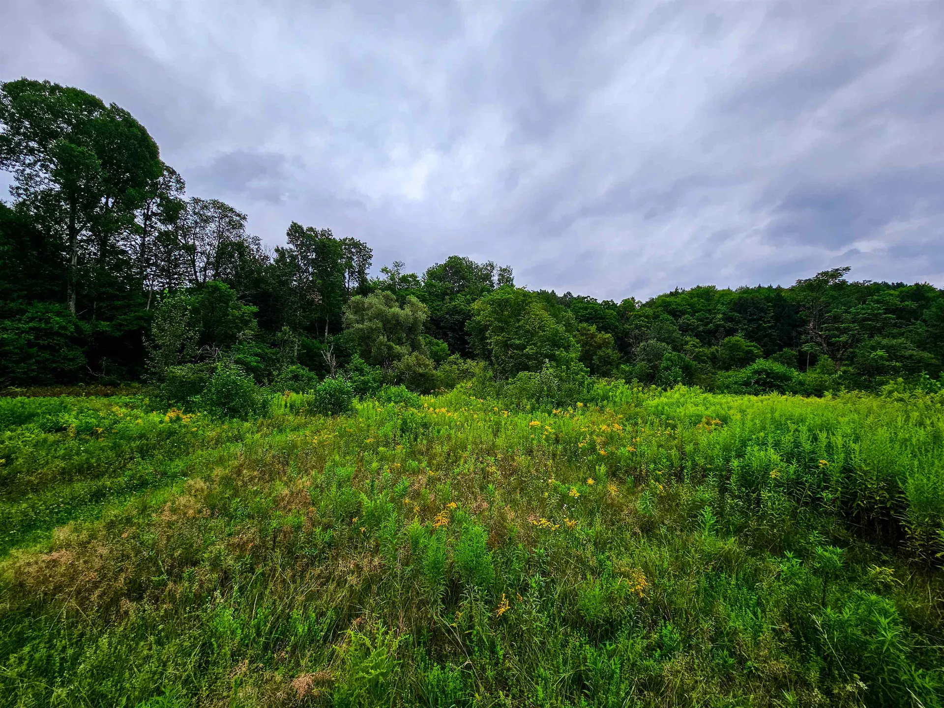 1761 Vt Route 214 East Montpelier VT 05667