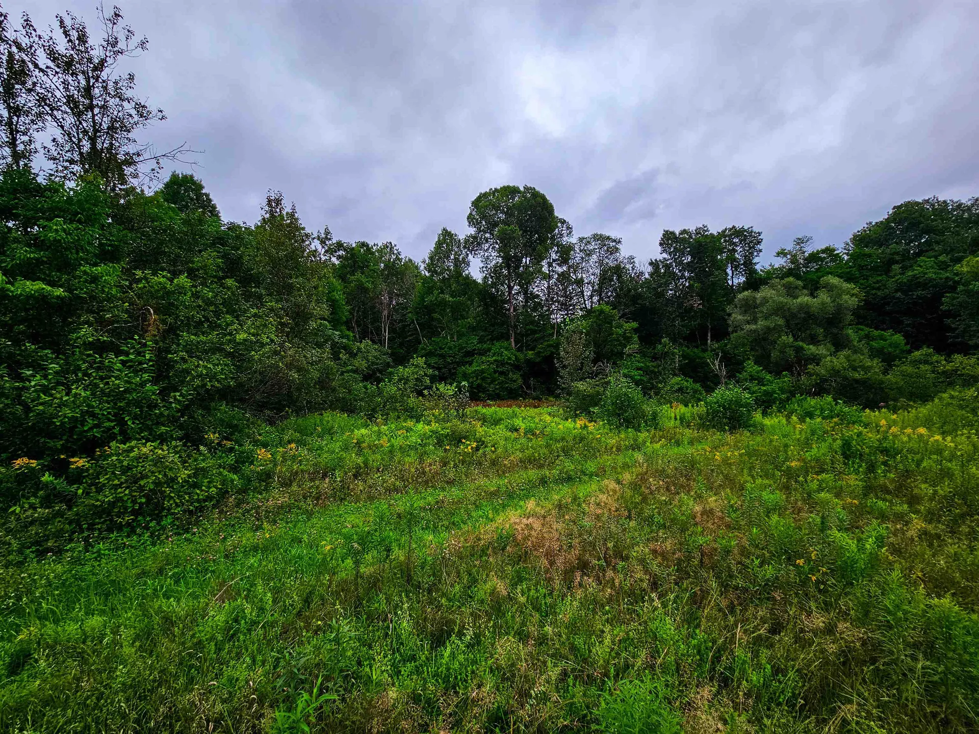 1761 Vt Route 214 East Montpelier VT 05667