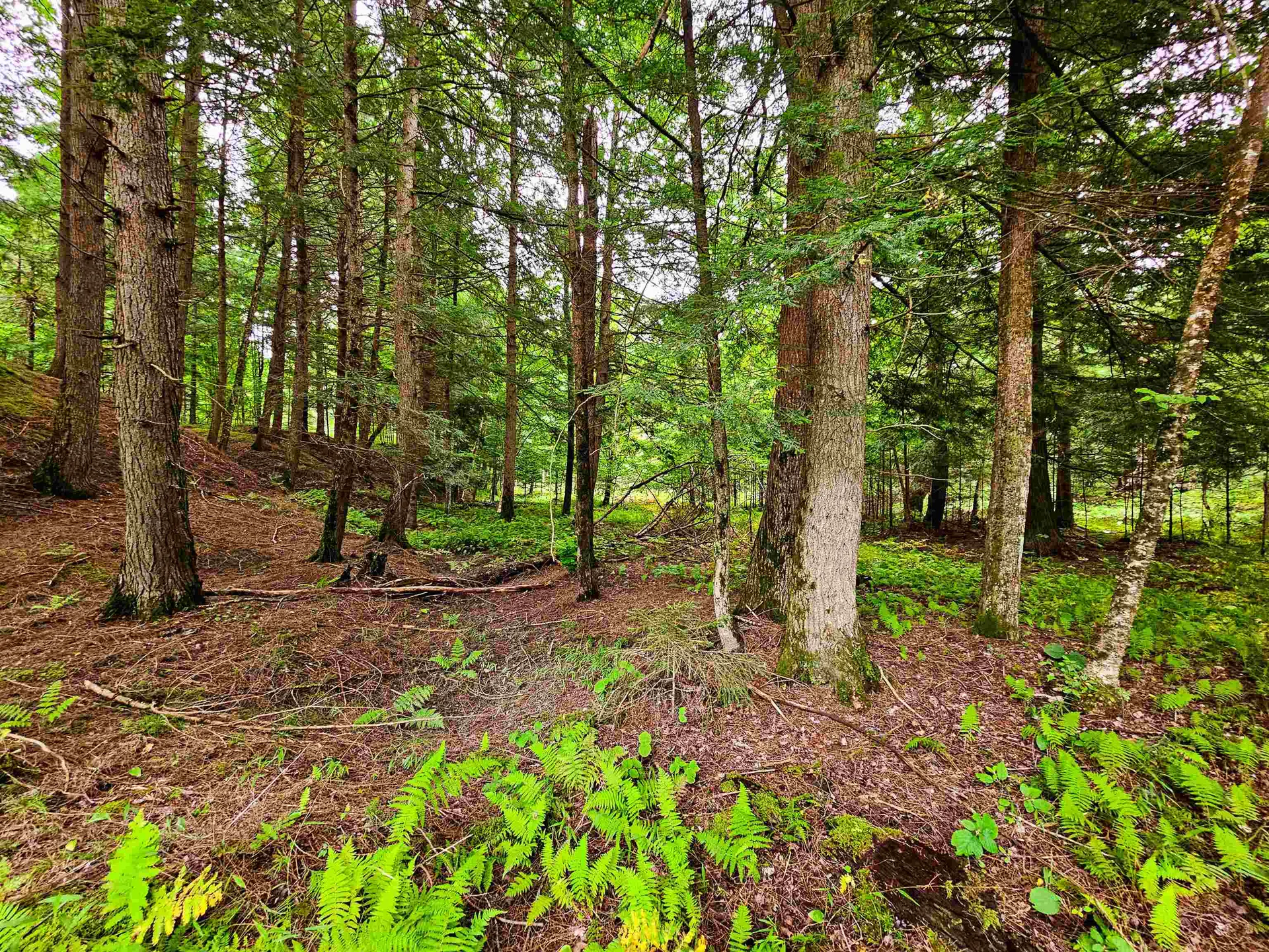 1761 Vt Route 214 East Montpelier VT 05667