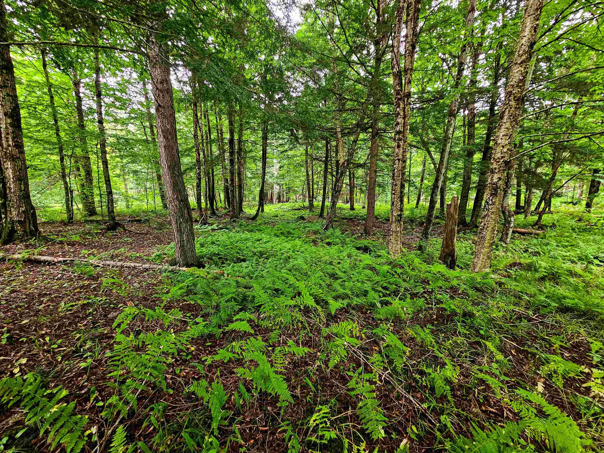 1761 Vt Route 214 East Montpelier VT 05667