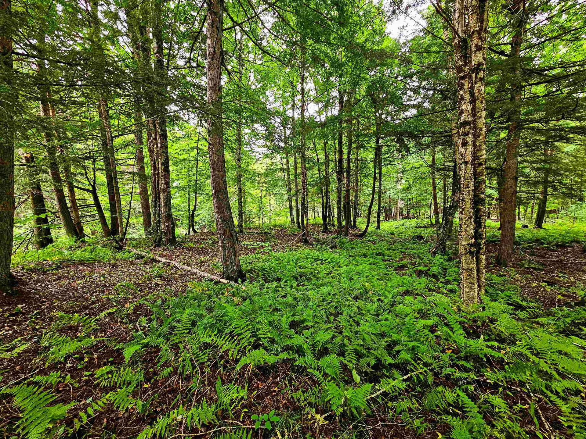 1761 Vt Route 214 East Montpelier VT 05667