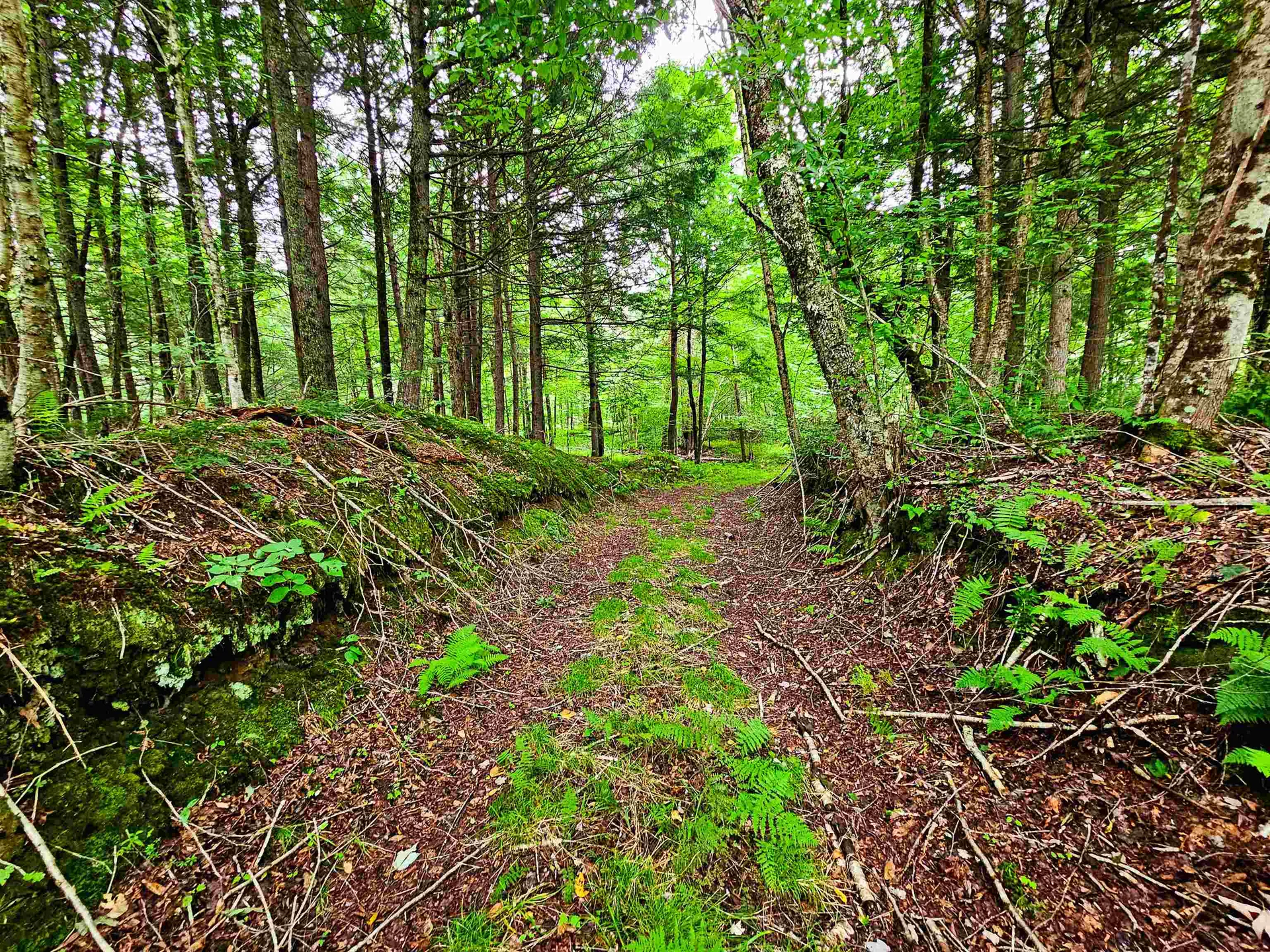 1761 Vt Route 214 East Montpelier VT 05667