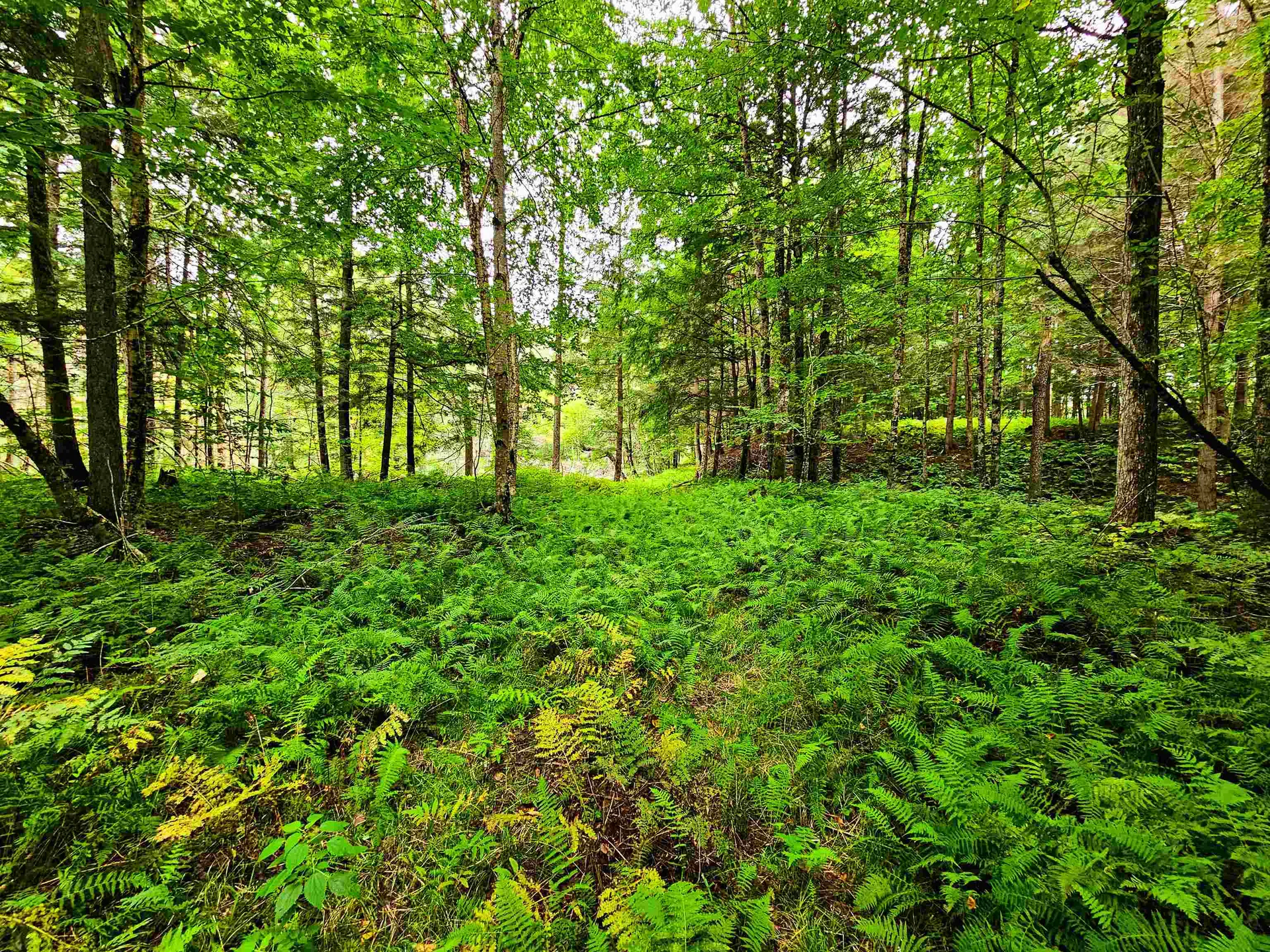 1761 Vt Route 214 East Montpelier VT 05667