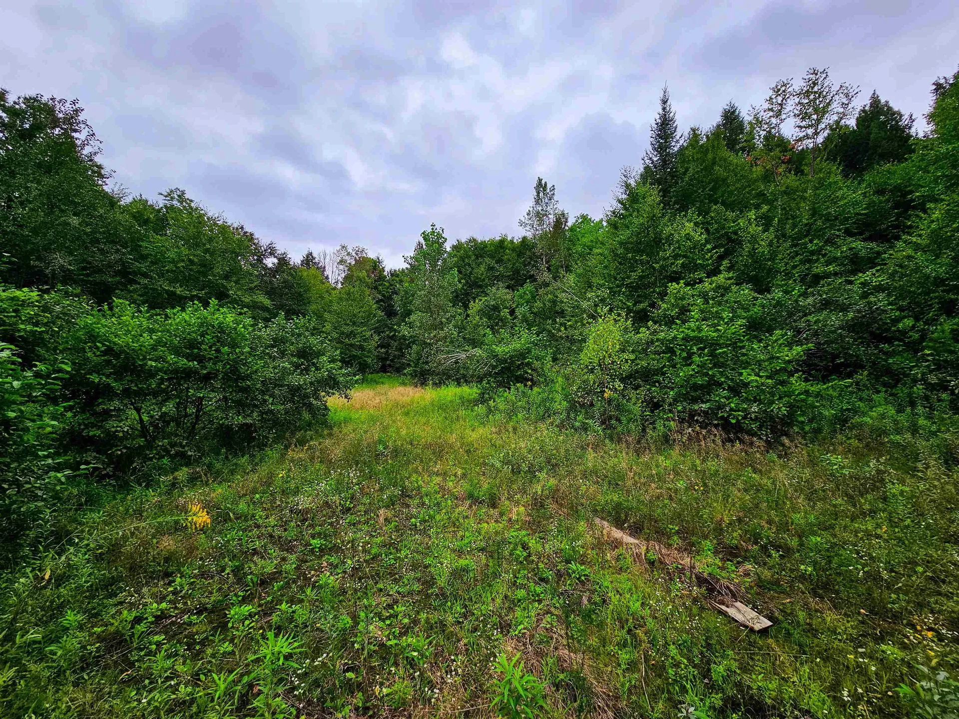 1761 Vt Route 214 East Montpelier VT 05667