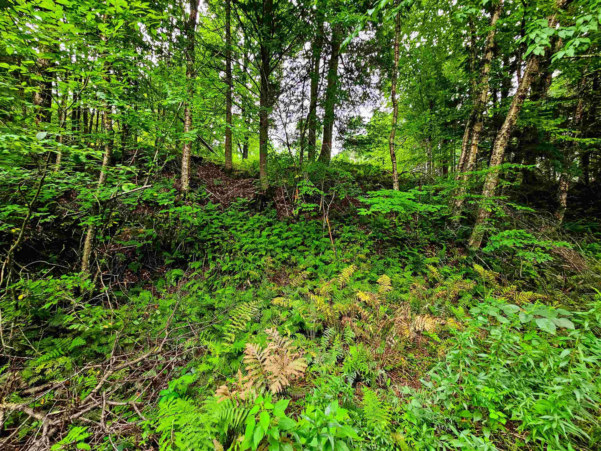 1761 Vt Route 214 East Montpelier VT 05667