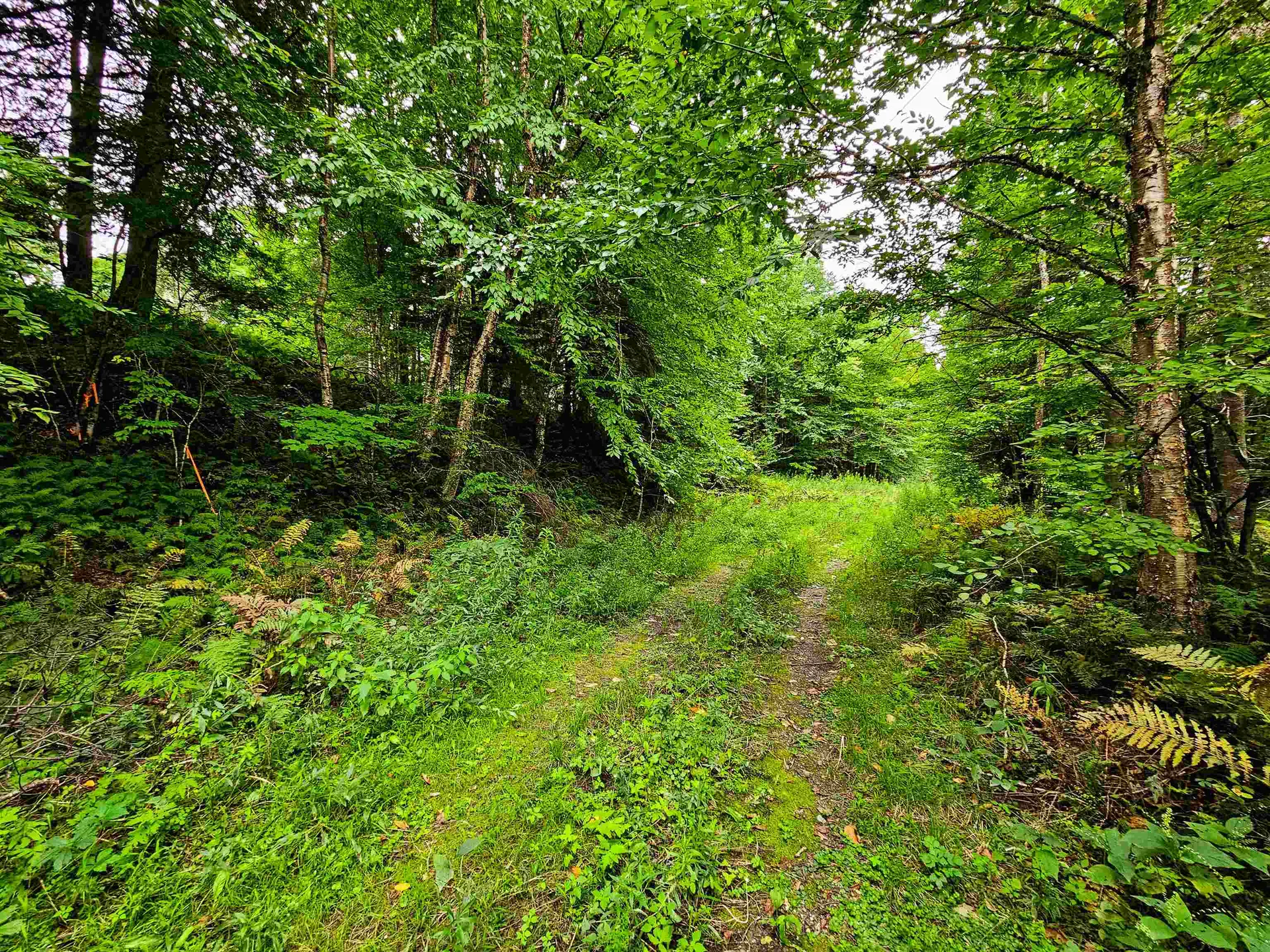 1761 Vt Route 214 East Montpelier VT 05667