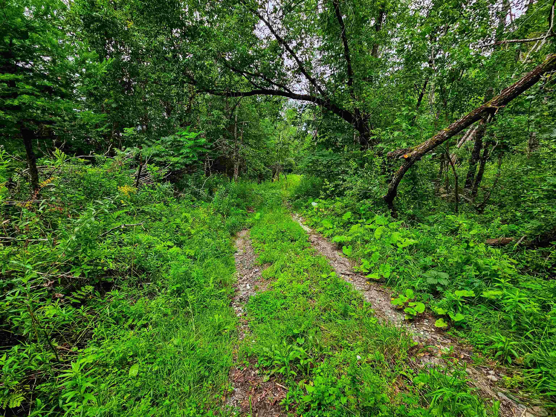 1761 Vt Route 214 East Montpelier VT 05667