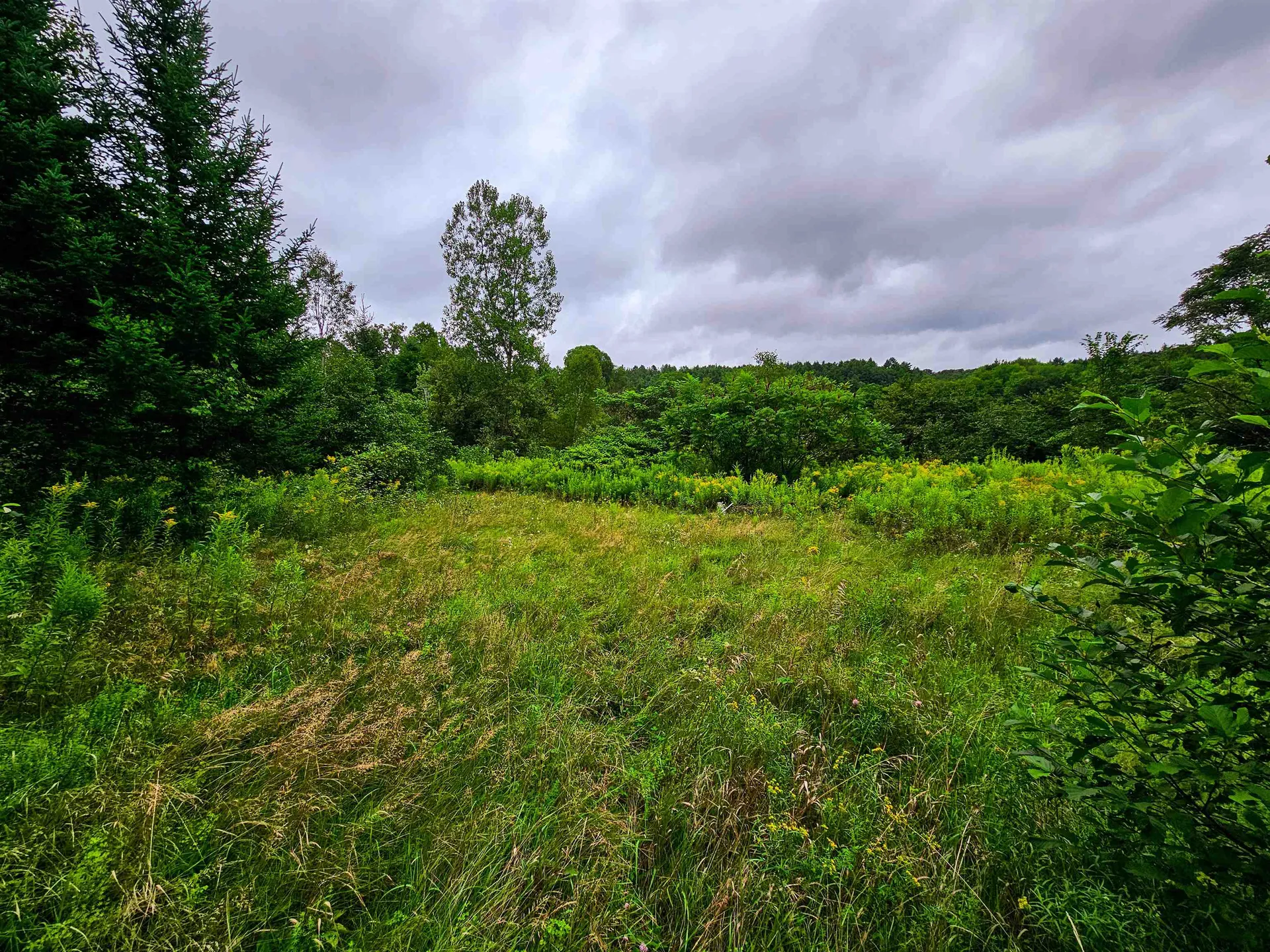 1761 Vt Route 214 East Montpelier VT 05667