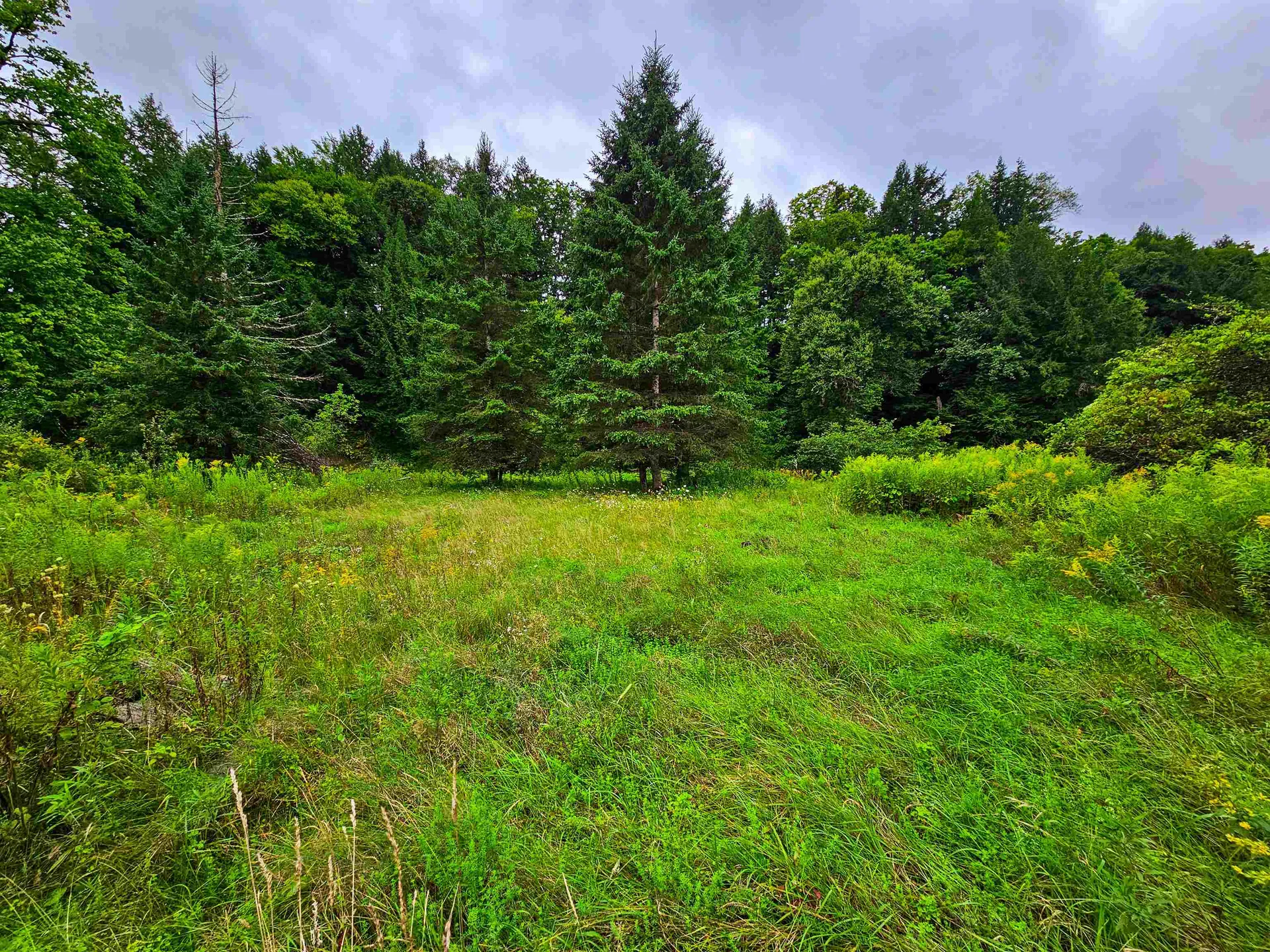 1761 Vt Route 214 East Montpelier VT 05667