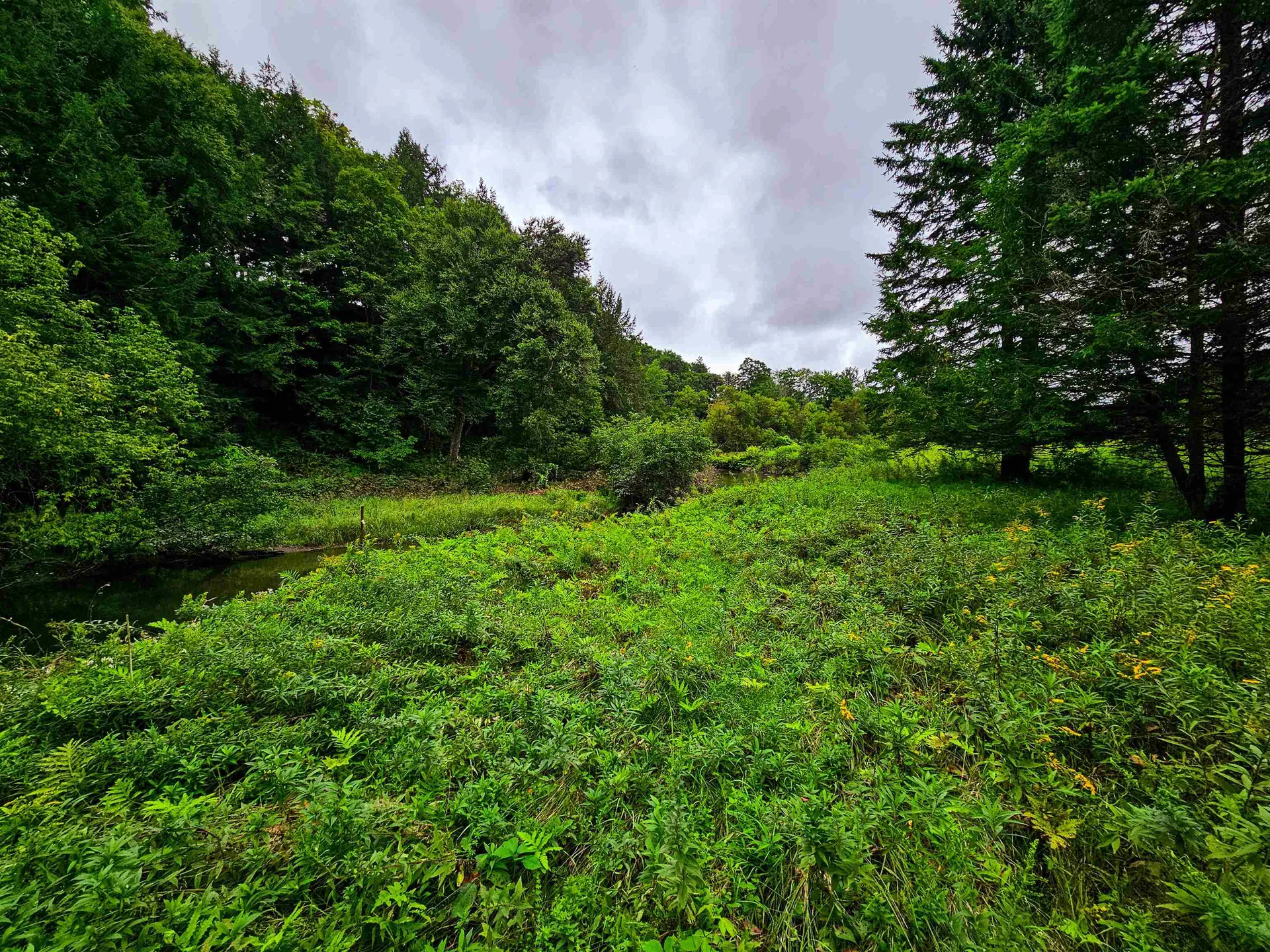 1761 Vt Route 214 East Montpelier VT 05667