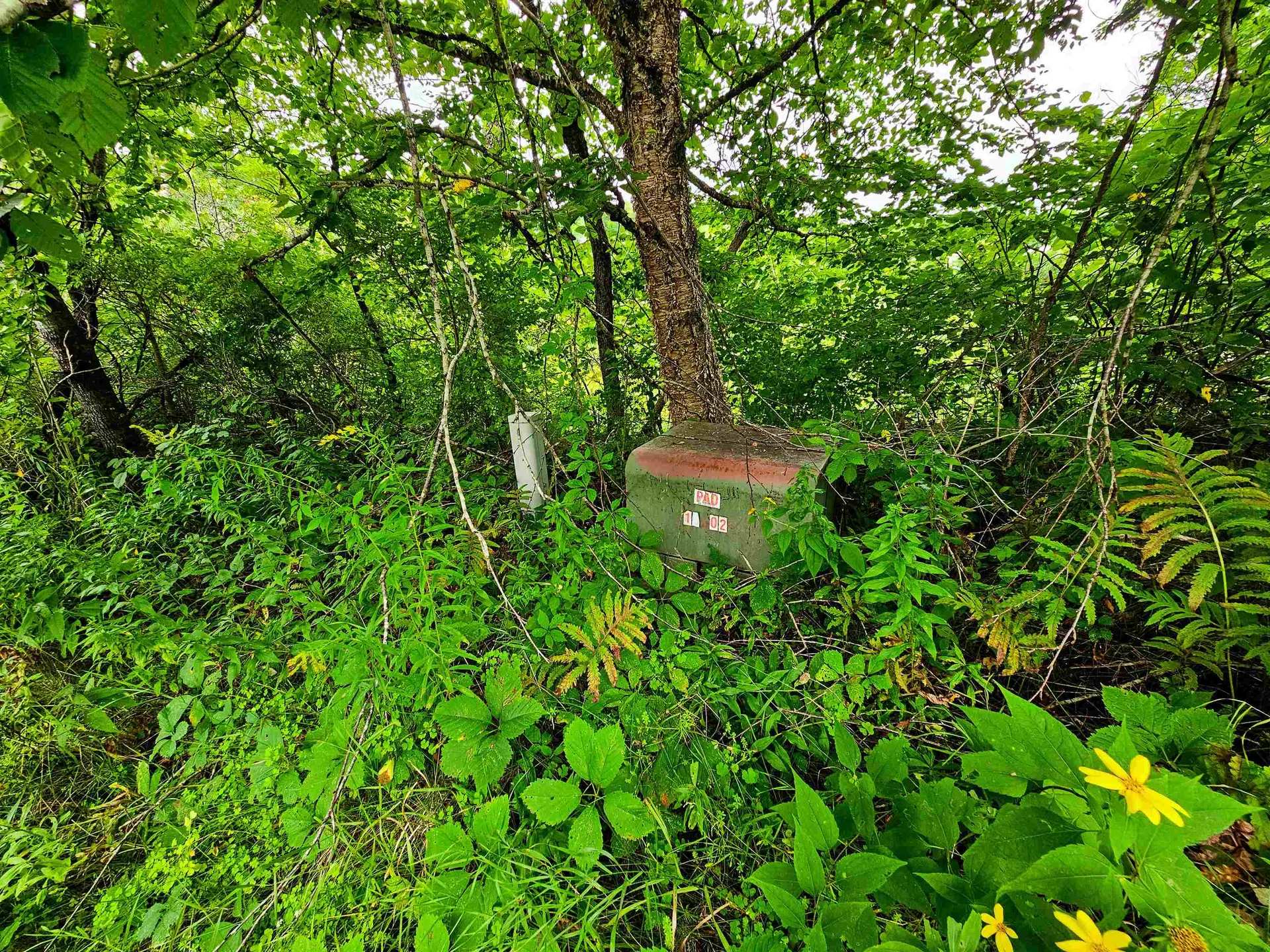 1761 Vt Route 214 East Montpelier VT 05667