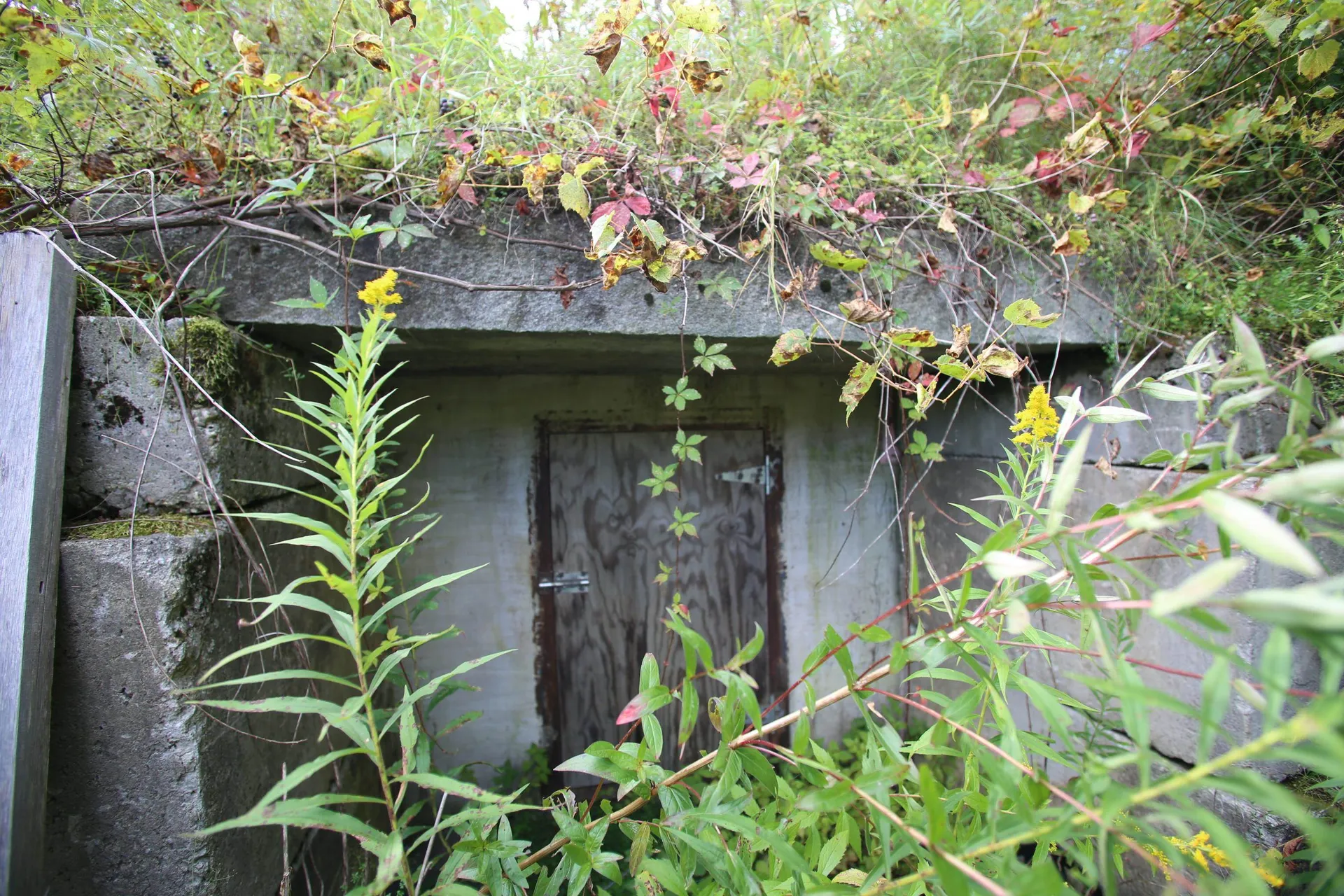 1761 Vt Route 214 East Montpelier VT 05667