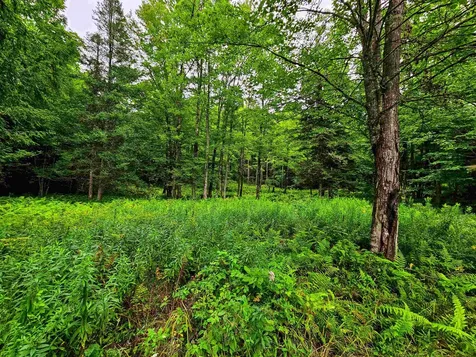 1761 Vt Route 214 East Montpelier VT 05667