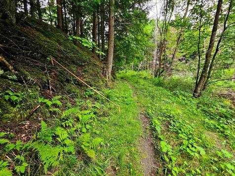 1761 Vt Route 214 East Montpelier VT 05667