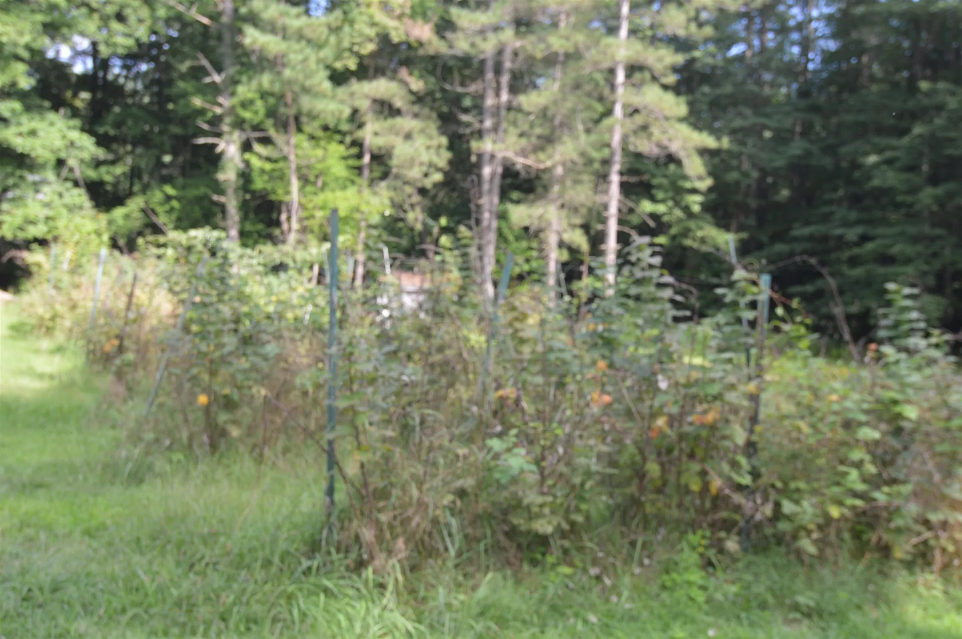 128 Ashuelot Street Winchester NH 03470