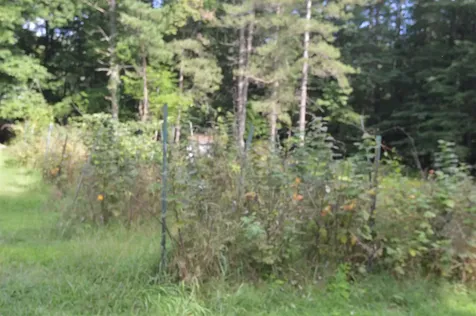 128 Ashuelot Street Winchester NH 03470