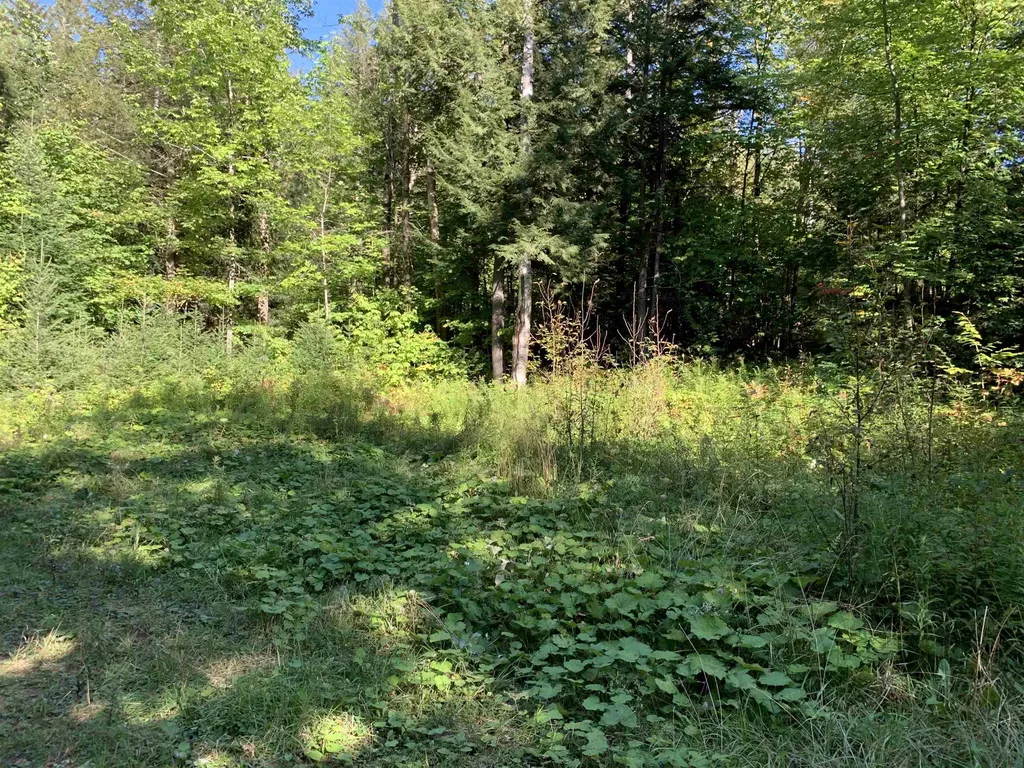 00 High Meadows Road Burke VT 05832