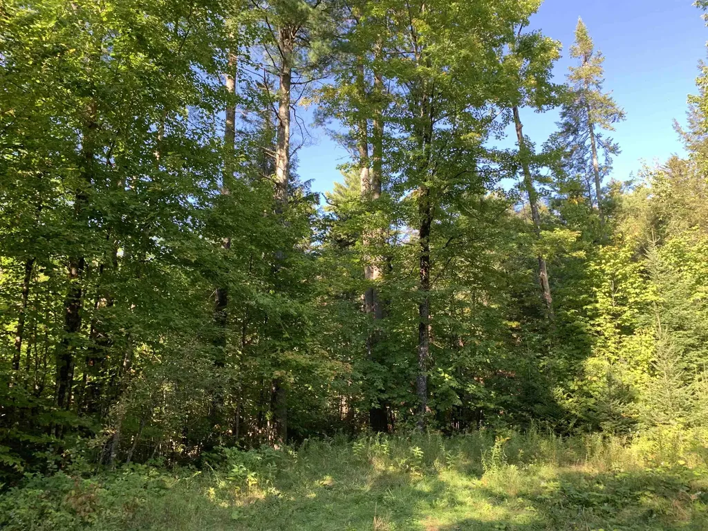 00 High Meadows Road Burke VT 05832