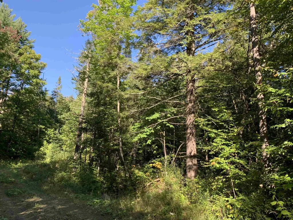 00 High Meadows Road Burke VT 05832